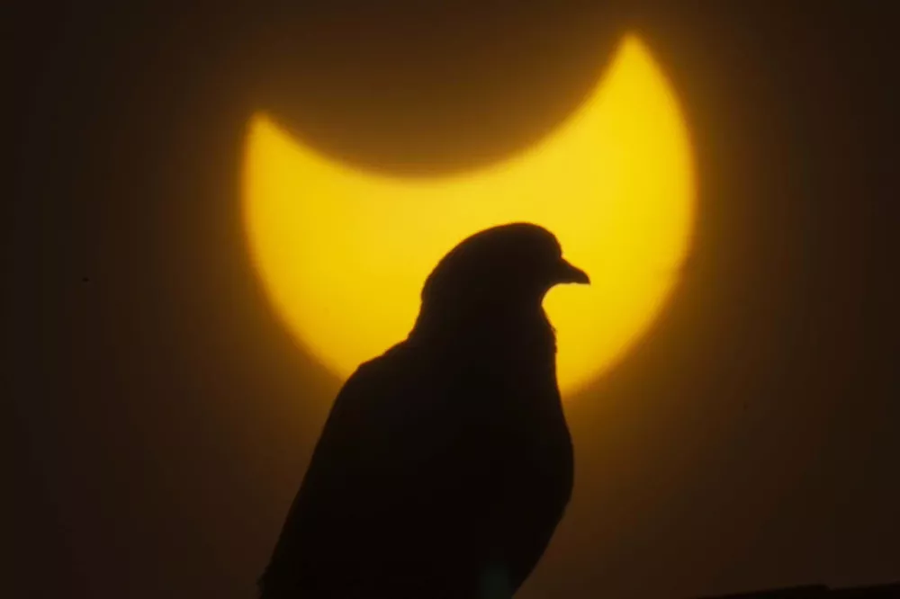 eclipse 9