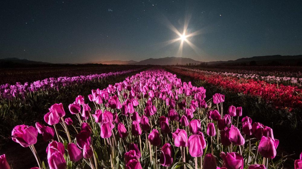 Trevelín 3 (Chubut)