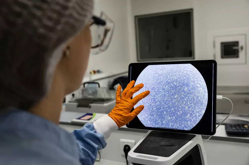 ciencia