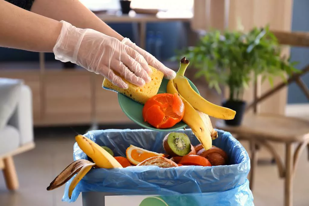 food-waste-rubbish-1024x683