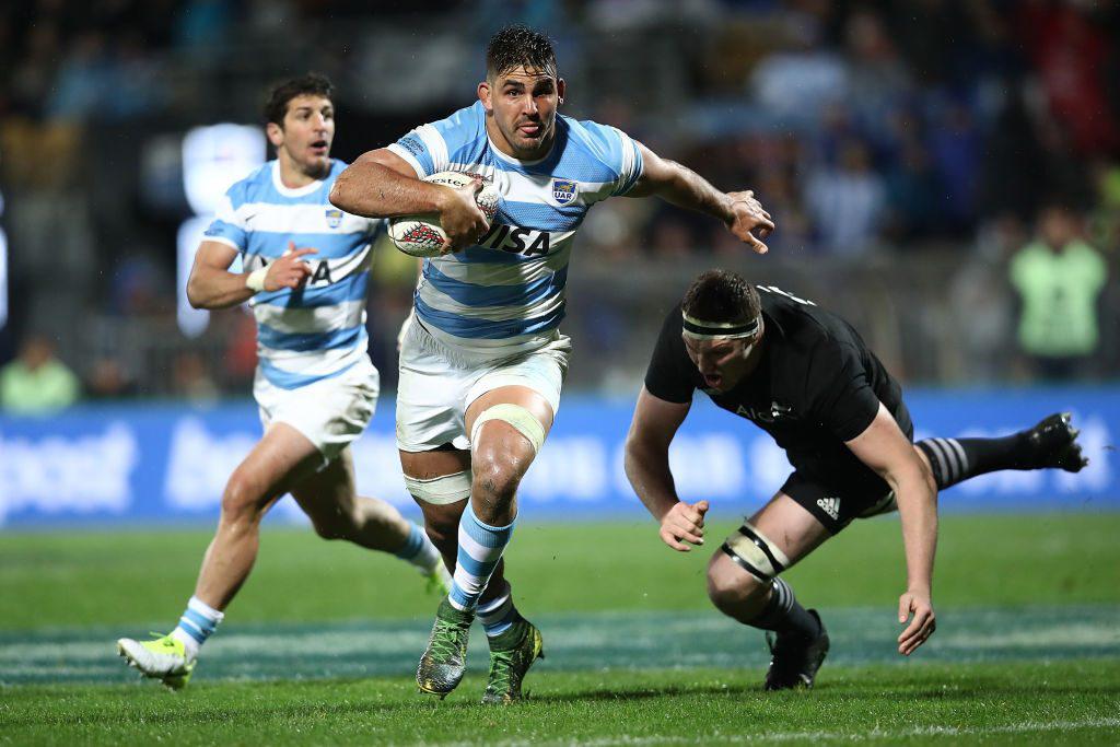 pumas rugby