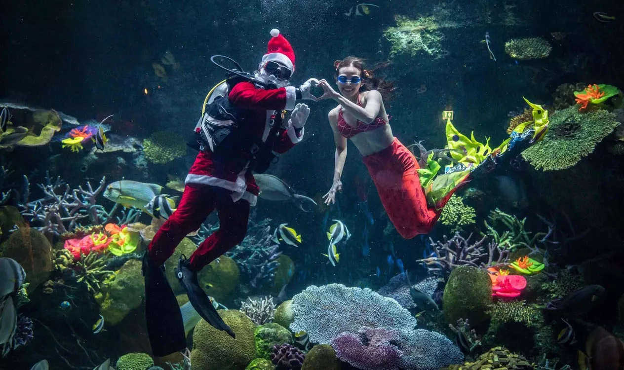 navidad 3